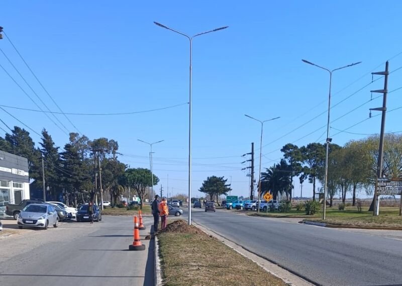 luz mda