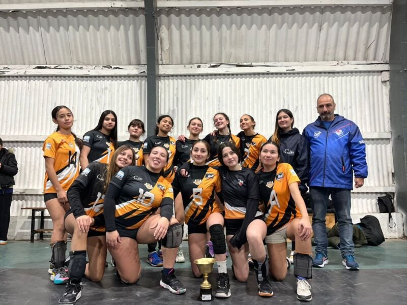 voley aragone