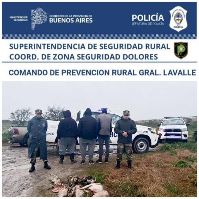 lavalle galgos