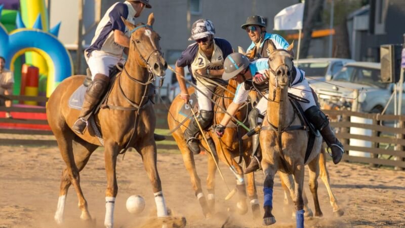 polo arena