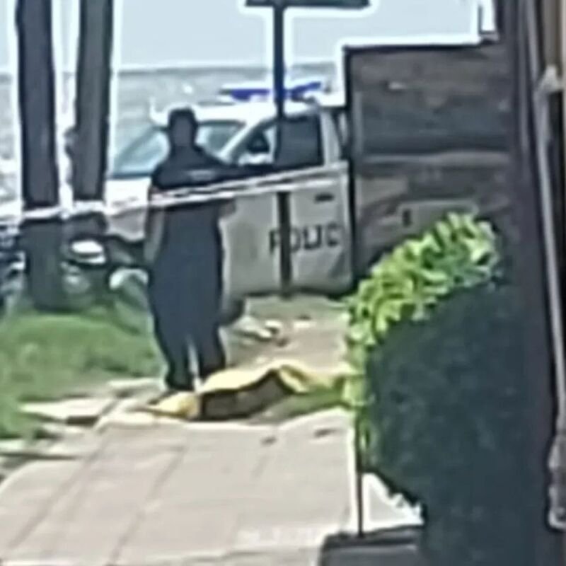 WhatsApp Image 2025-12-25 at 15.42.33