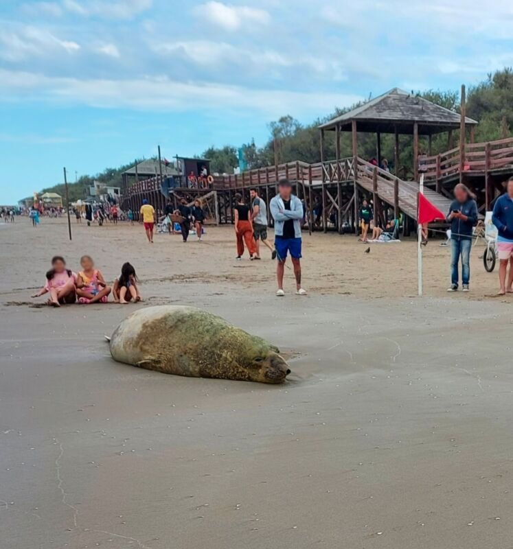 Presión de turistas - 004