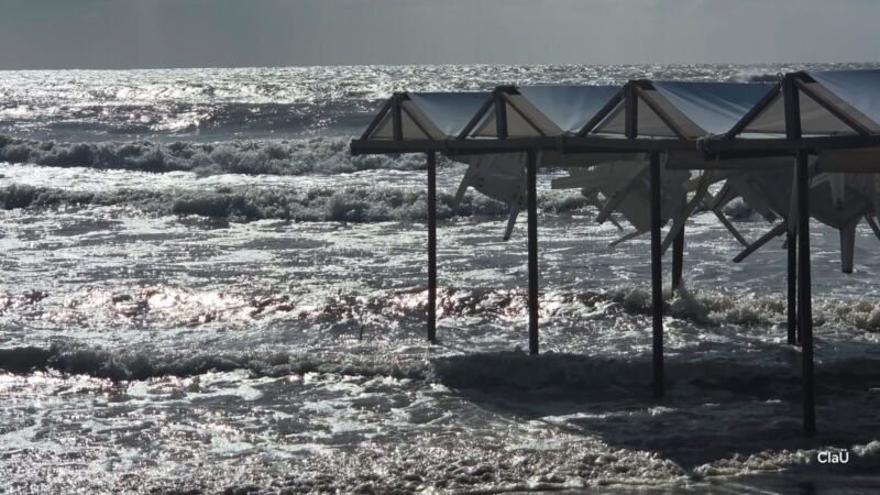 WhatsApp Image 2026-01-03 at 12.44.36 (1)