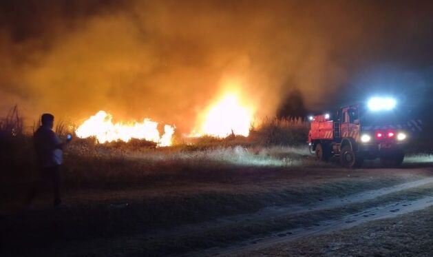 WhatsApp Image 2026-01-25 at 21.41.22