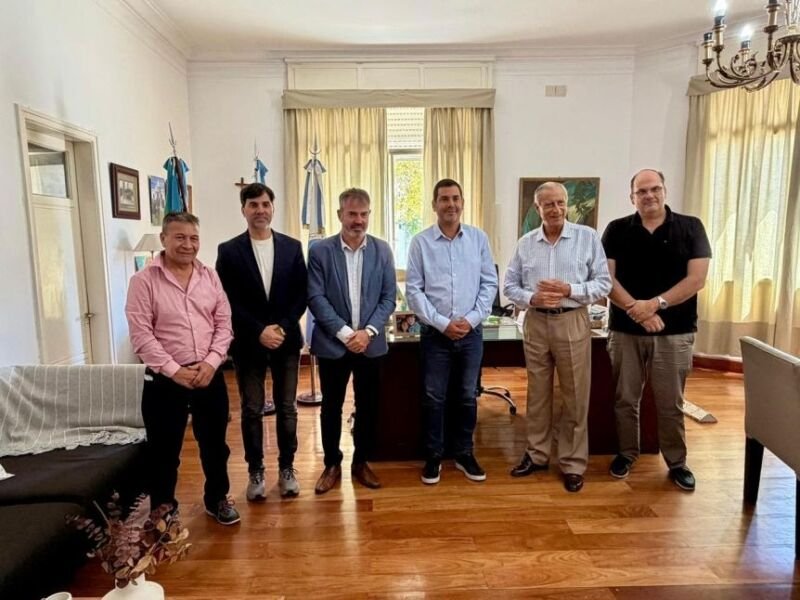 WhatsApp Image 2026-02-11 at 20.31.54