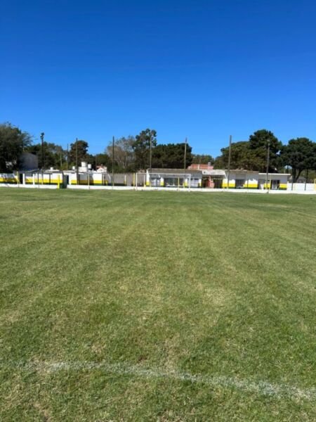 WhatsApp Image 2026-03-20 at 15.07.38