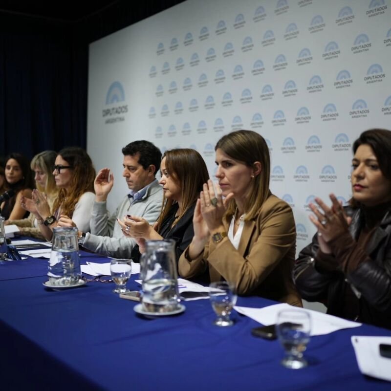 fria diputados 2026