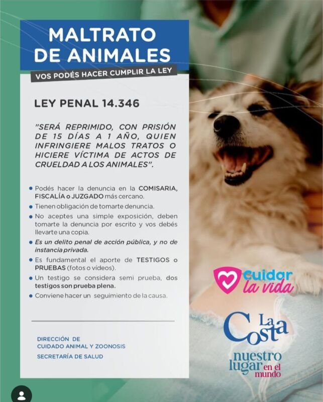 maltrato