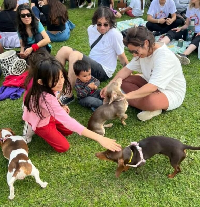 perros salchicha Dolores