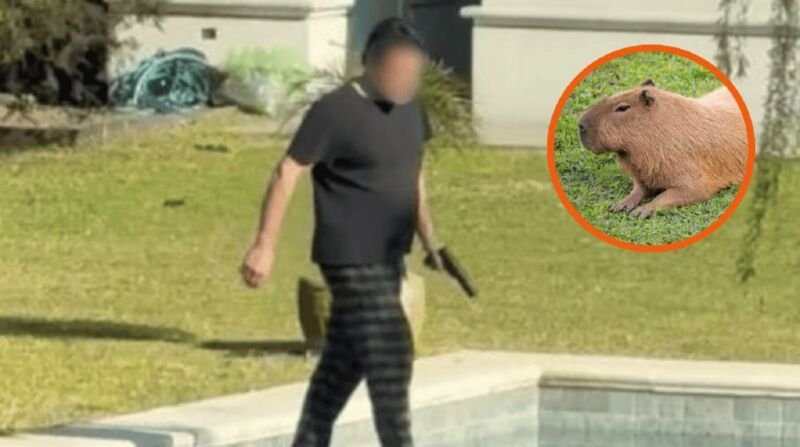 La Defensoría del Pueblo bonaerense denunció al hombre que atacó a tiros a carpinchos en Nordelta y pide endurecer penas por maltrato animal