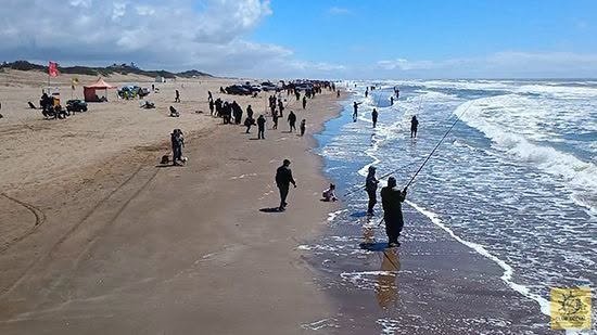 San Clemente: balance del Gran Concurso de Pesca de la Fiesta Nacional de la Corvina Negra